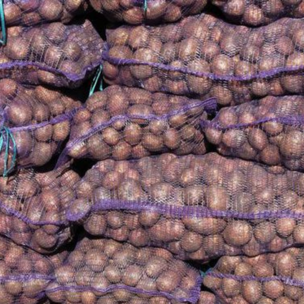 Молодіжна рада отримала велику партію гуманітарної допомоги